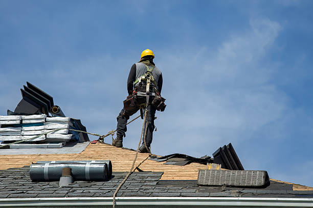 Professional Storm Damage Roof Repair technician working in Hastings, IA